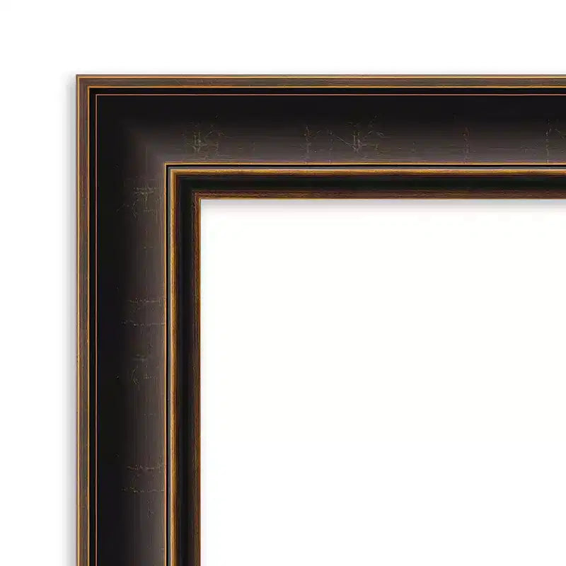 24"x30" Villa Wood Wall Mirror, Oil Rubbed Bronze Frame, No Assembly - Amanti Art