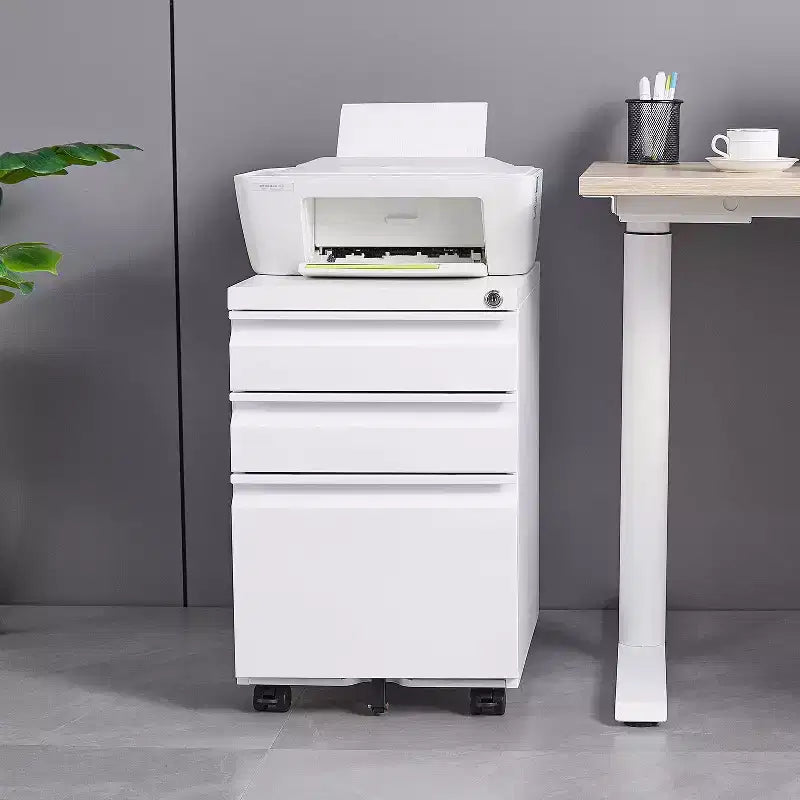 Okak Modern Small Mobile Filing Cabinet with Lock Drawers/Doors,Storage Organizer File Cabinet for Home Office,Under Desk