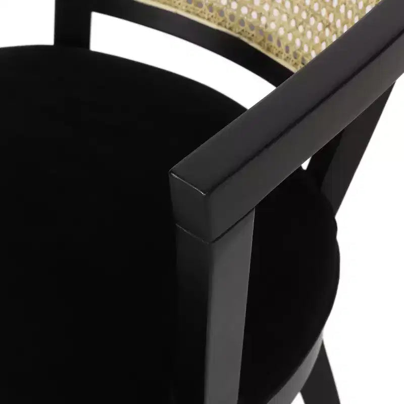 Christopher Knight Home Set of 2 Currant Velvet and Cane Upholstered Dining Chairs Natural Brown/Black