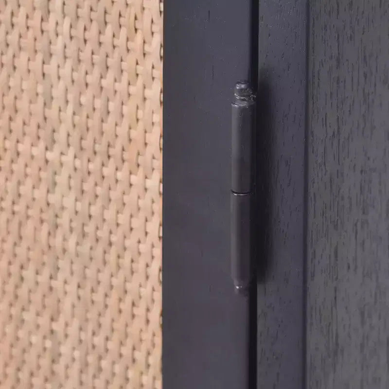 Delancey 2 Door Cabinet - Hopper Studio