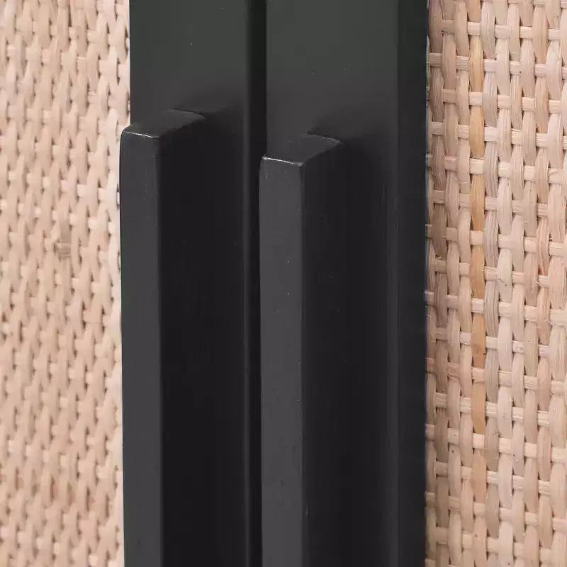 Delancey 2 Door Cabinet - Hopper Studio