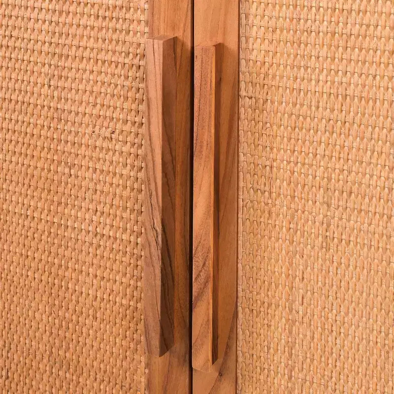 Delancey 2 Door Cabinet - Hopper Studio