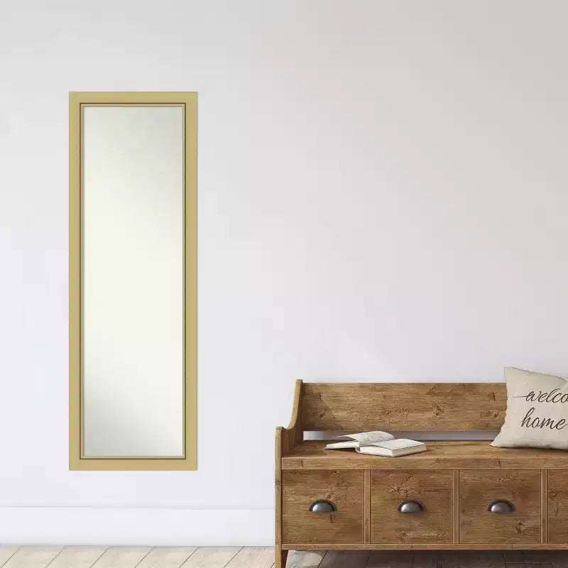 Amanti Art Landon Gold Narrow Non-Beveled On the Door Mirror Full Length Mirror, Wall Mirror 51.5 in x 17.5 in.