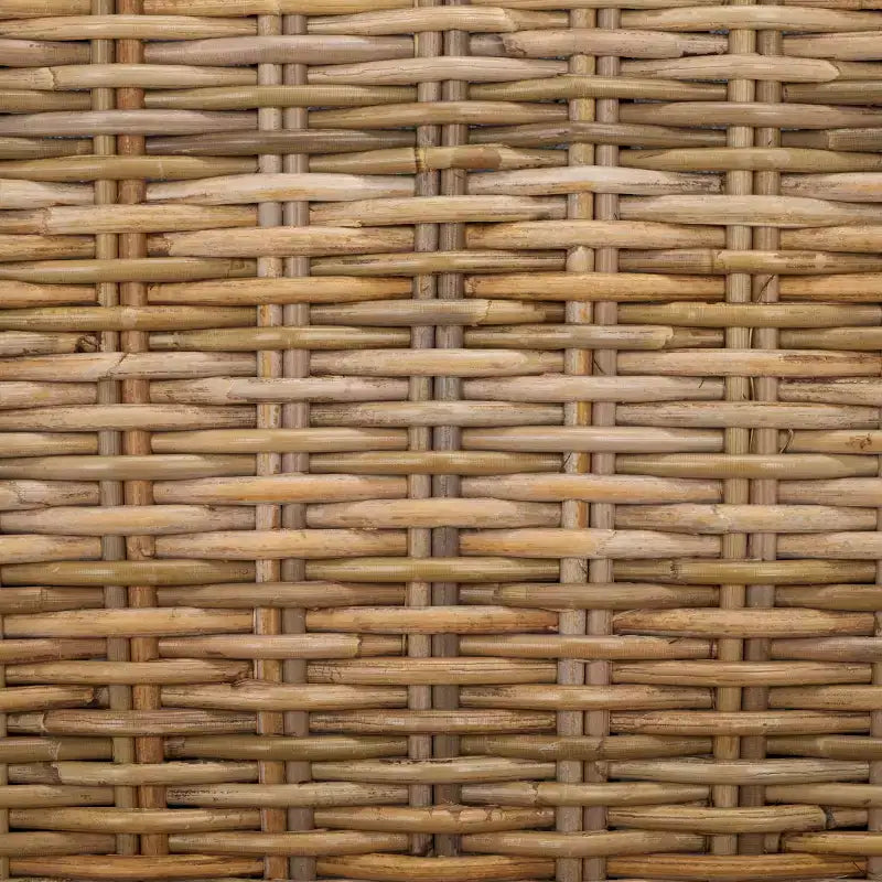 Pembrooke 19 H Rattan Side Chair (Set of 2) - FOX6520 - Safavieh Couture