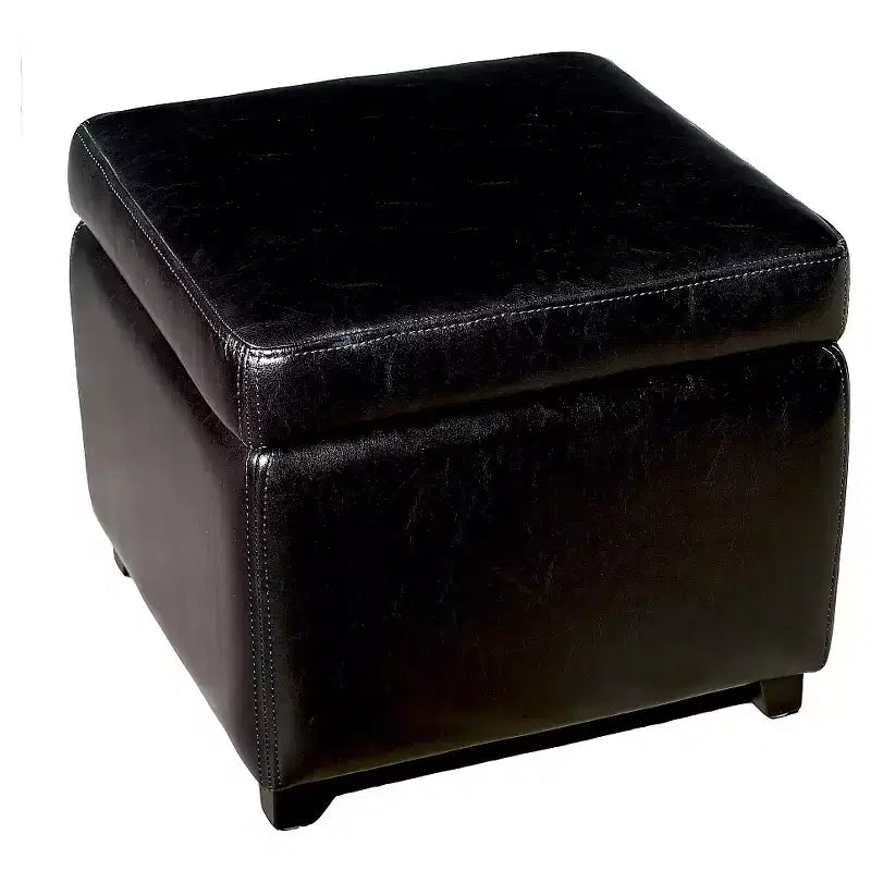 Full Leather Small Storage Cube Ottoman - Baxton Studio