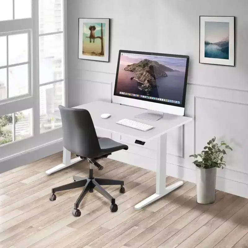 Mount-It! Dual Motor Electric Standing Desk with 48 Tabletop, White