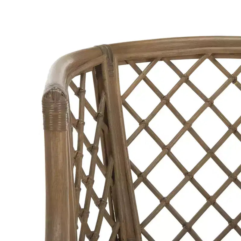 Carlotta Arm Chair - SEA4013 - Safavieh