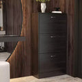 Famapy Modern Shoe Cabinet Entryway Shoe Rack 3 Tier Shelves