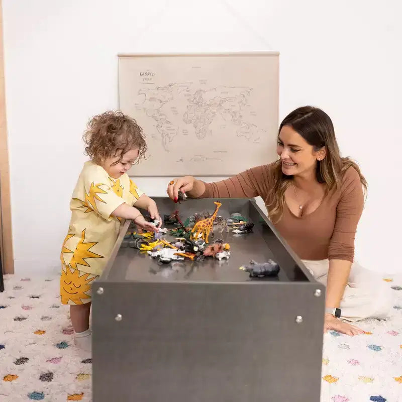 ECR4Kids Double-Sided Storage Cabinet with Activity Top and Mirror, Classroom Furniture