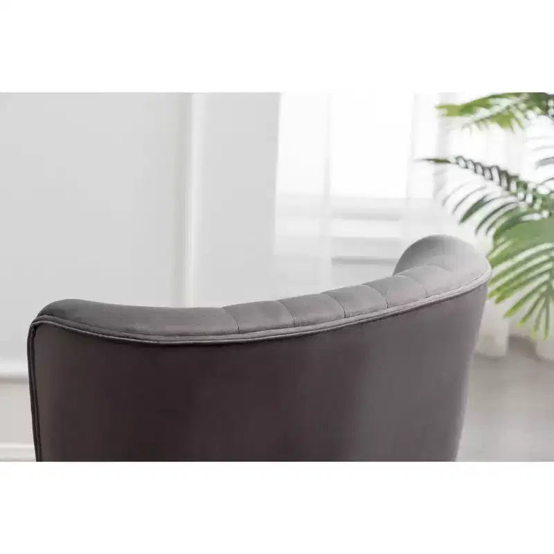 Roundhill Furniture Elon Contemporary Velvet Upholstered Accent Chair, Gray
