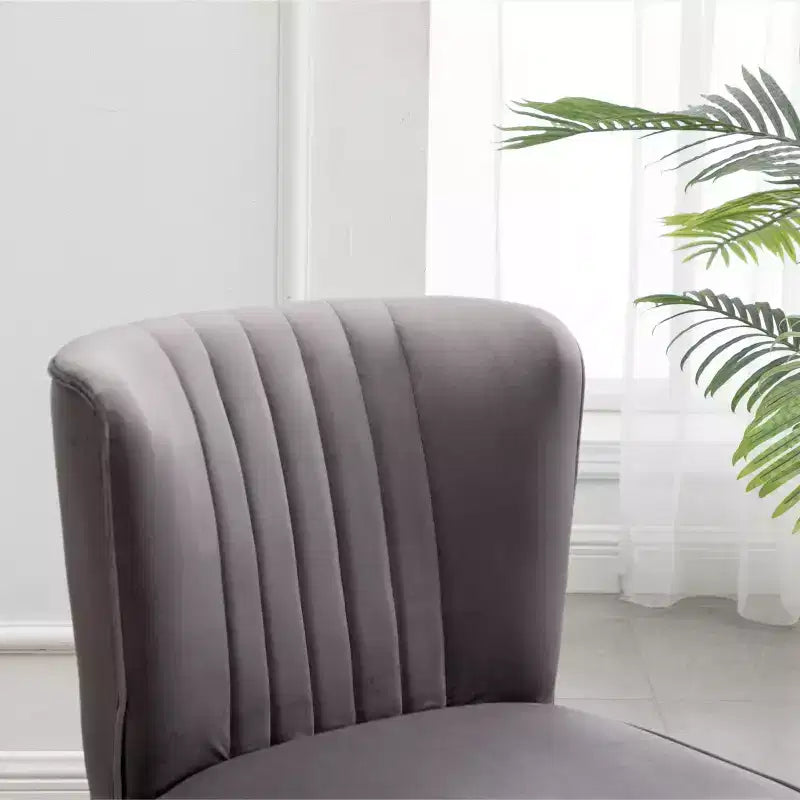 Roundhill Furniture Elon Contemporary Velvet Upholstered Accent Chair, Gray