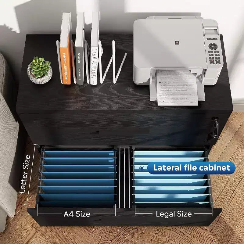 DEXYLLO 2-Drawer Wood Lateral File Cabinet with Lock for Home Office